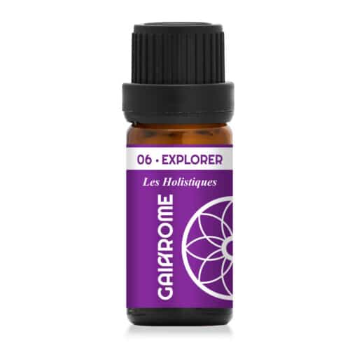 06. Explorer – Les Holistiques