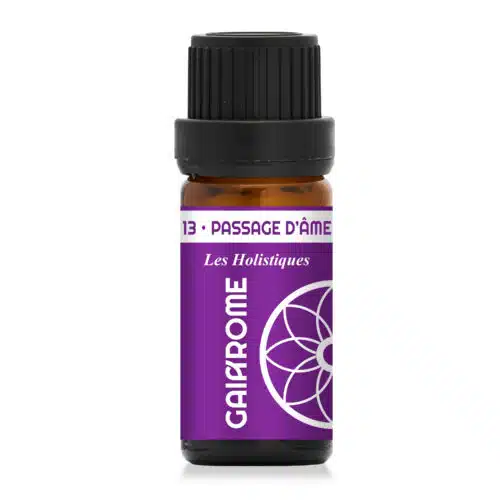 13. Passage d’Âme – Les Holistiques