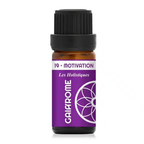 19. Motivation – Les Holistiques