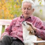 L’histoire d’Andy, un chien guérisseur en maison de repos