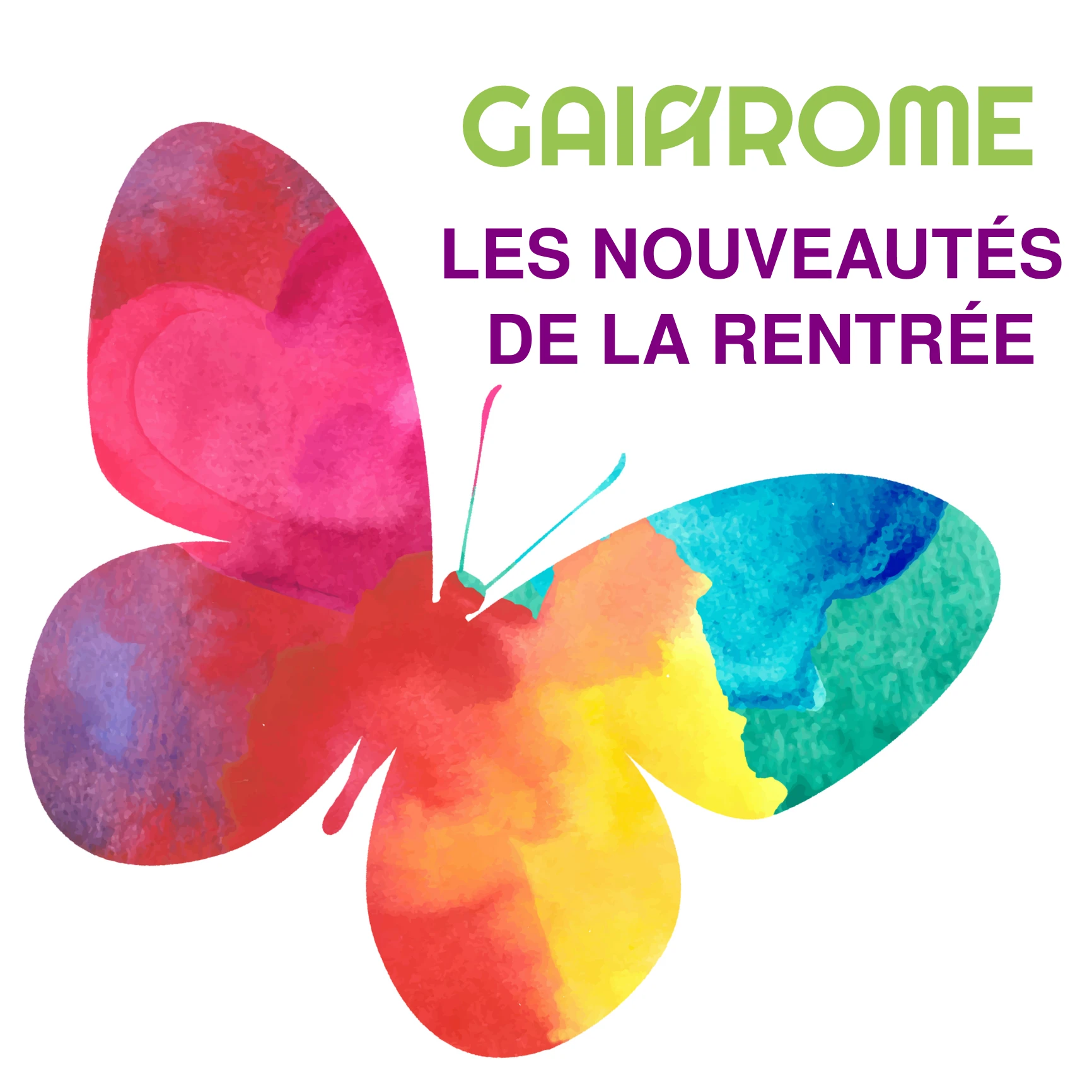 You are currently viewing La Nouvelle Direction de Gaiarome
