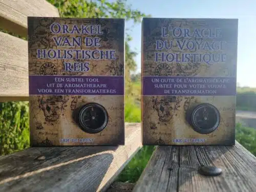 L'Oracle du Voyage Holistique – Image 2
