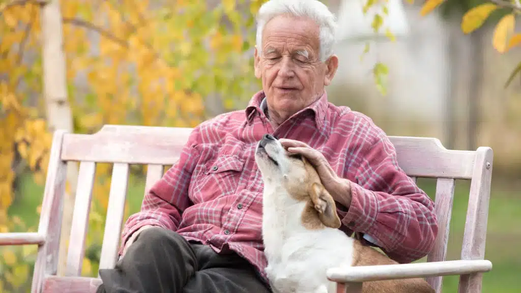 Andy le chien qui détecte la maladie
