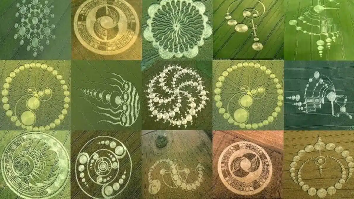 Des Outils parfaits pour l'Évolution des Consciences - Crop Circle