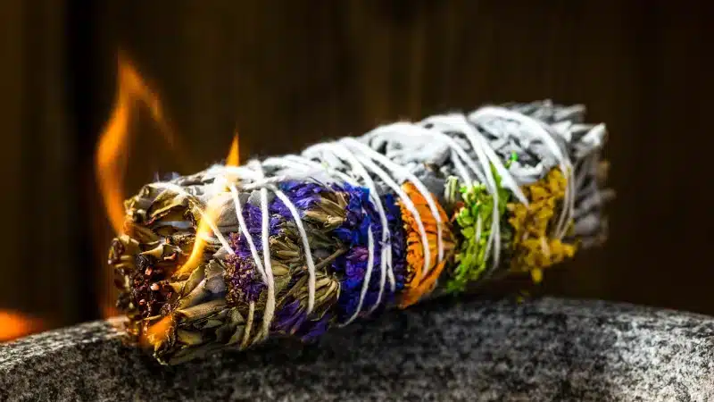 sauge blanche en fagot,avec fleurs colorées