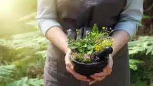 Phytothérapie + huiles essentielles = phyto-aromathérapie