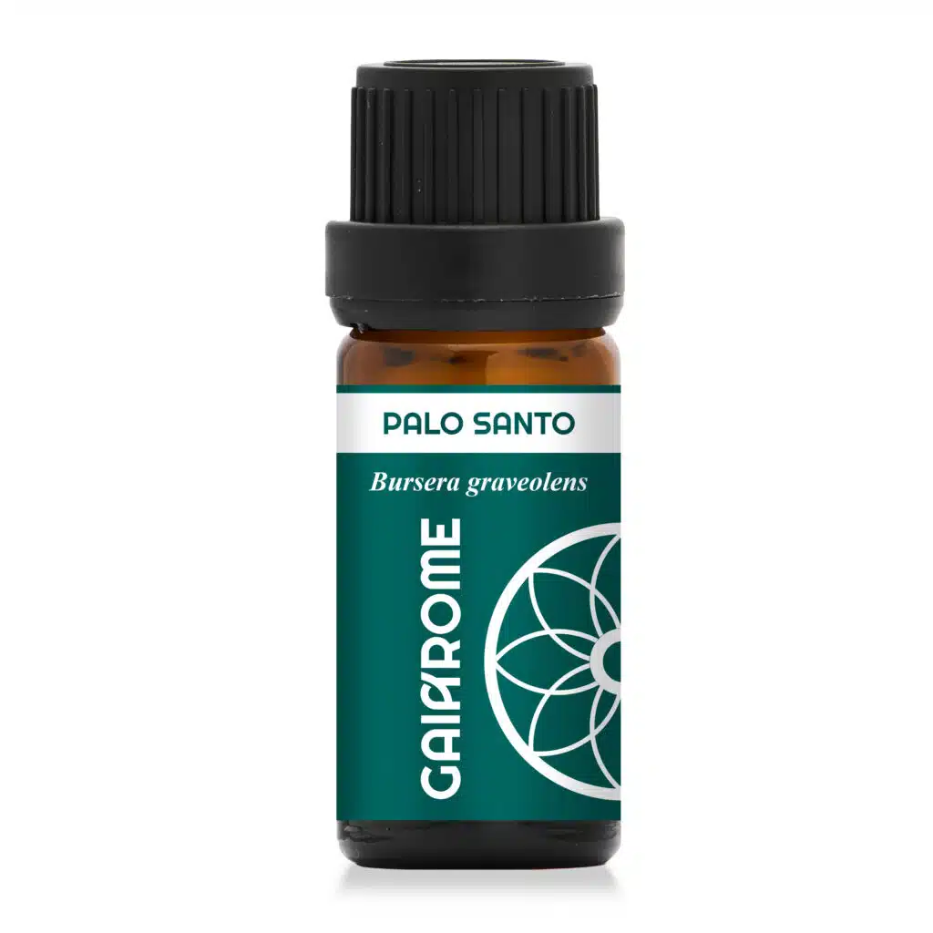 Palo Santo - Huile essentielle Sainte en 5ml
