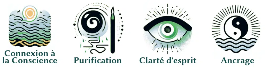 Sauge blanche - purification et clarté d'esprit - Gaiarome