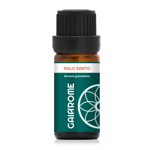 Palo Santo, huile essentielle sacrée de Gaiarome