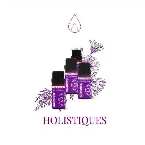 Les Holistiques