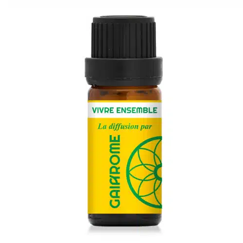 Vivre Ensemble – synergie pour la diffusion