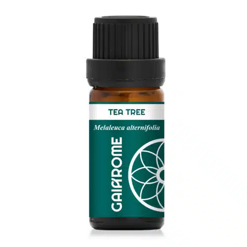 Tea tree - huile essentielle Gaiarome