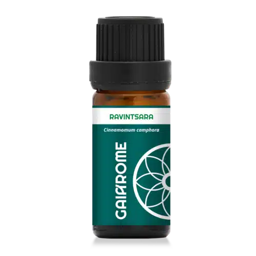 Ravintsara – Huile essentielle stimulante en 10ml