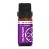Synergie 22 - Joie de Vivre - Les Holistiques de Gaiarome
