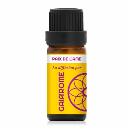 Paix de l’âme – synergie pour la diffusion