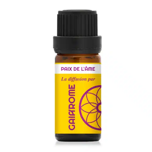 Paix de l’âme – synergie pour la diffusion