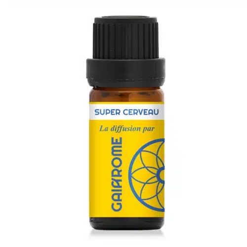 Super Cerveau – synergie pour la diffusion