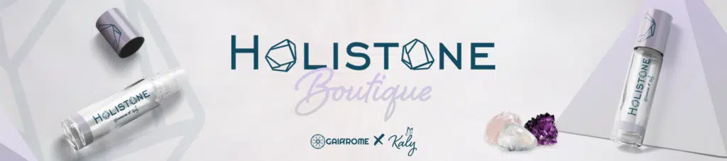 Lien vers le site holistone.fr