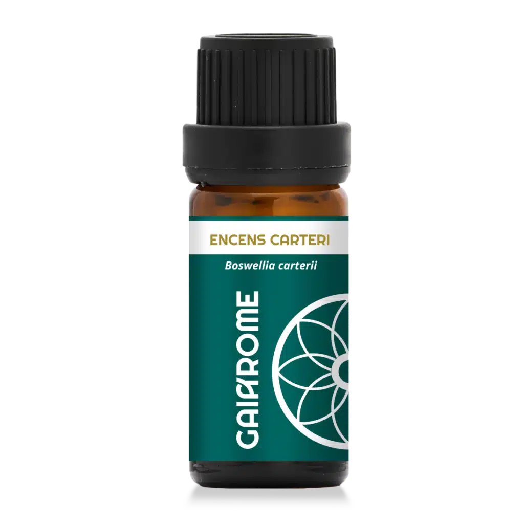 Encens carteri - Huile essentielle sacrée (5ml)