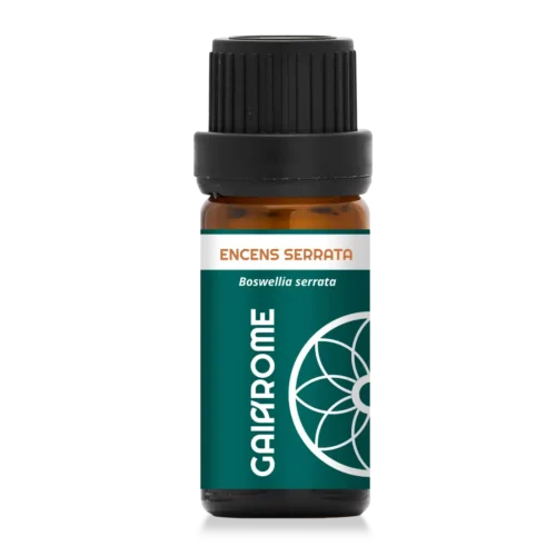 Encens serrata – Huile essentielle du discernement (10ml)
