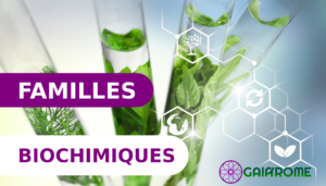 Les familles biochimiques - Gaiarome
