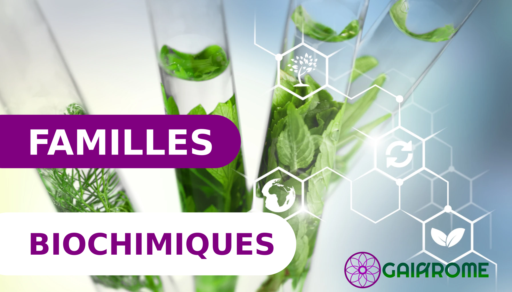 Les familles biochimiques - Gaiarome