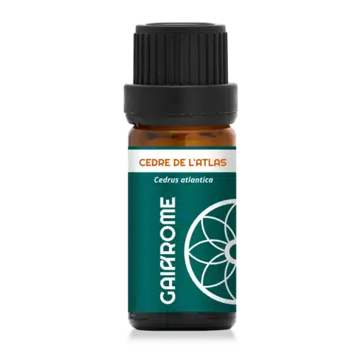Cèdre de l’Atlas  – L’huile essentielle pilier (10ml)