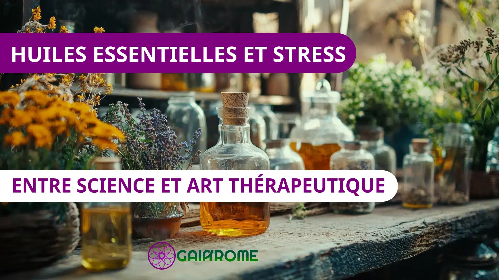 Huiles essentielles et stress - Gaiarome 2026