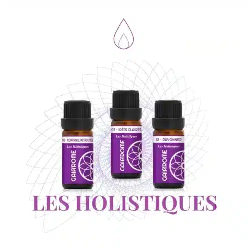 Les Holistiques